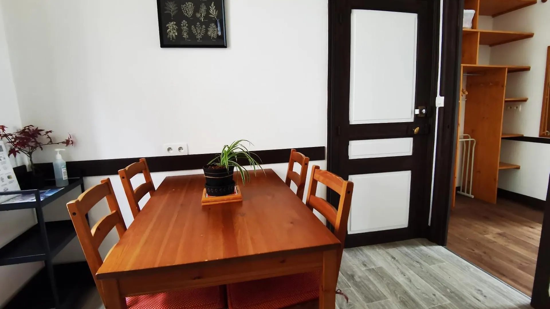 Les Camelias Apartment Le Mont-Dore France